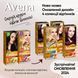 Крем-фарба Acme Avena Gloss Color № 734 Тиціан від виробника ACME 00000000357 фото 4