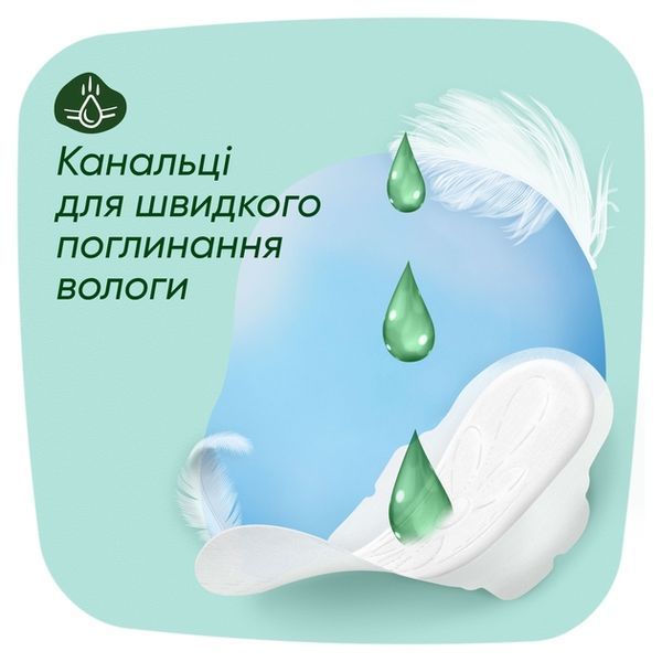 Гігієнічні прокладки Naturella Ніжний Захист Maxi Розмір 3 7 шт 00000002439 фото
