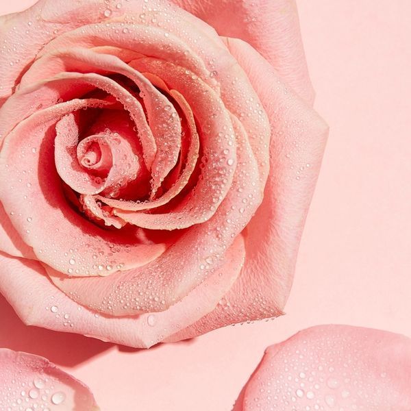 Міцелярна вода Garnier Skin Naturals з трояндовою водою для очищення шкіри 100 мл 00000003540 фото