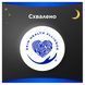 Гігієнічні прокладки Always Maxi Secure Night Розмір 4 6 шт для надійного захисту 00000002337 фото 3