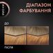 Фарба для волосся SYOSS 8-7 Карамельний блонд 115 мл від Syoss 00000000577 фото 6