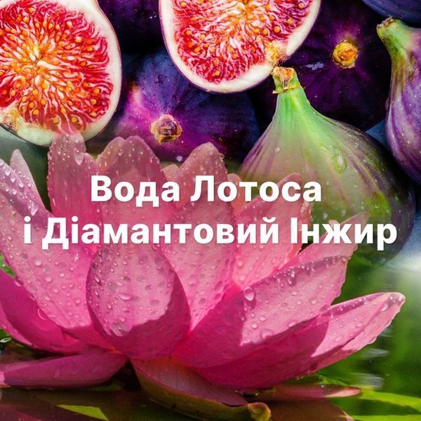 Кондиціонер для білизни LENOR Діамантовий інжир та вода лотоса 1200 мл 00000004065 фото