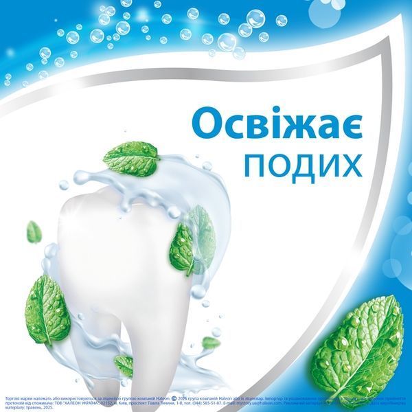 Зубна паста Aquafresh Освіжаюче М'ятна 50 мл для свіжого подиху та здорових зубів 00000002108 фото