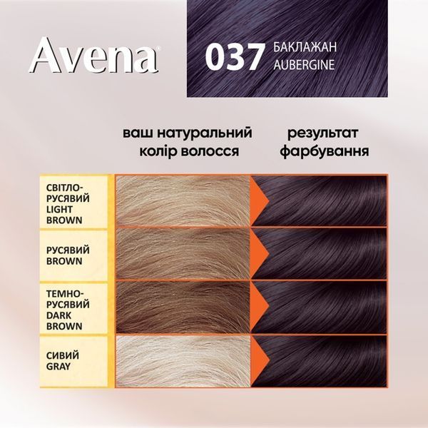 Крем-фарба Acme Avena Gloss Color № 037 Баклажан від виробника ACME 00000000354 фото