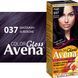 Крем-фарба Acme Avena Gloss Color № 037 Баклажан від виробника ACME 00000000354 фото 2