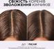 Очищувальний шампунь L'Oreal Paris Elseve Hyaluron Pure для жирного волосся 400 мл 00000000625 фото 5